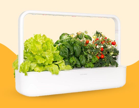 Gifts-for-Home-lover Gifts for Home lover